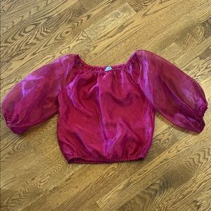 Ladies Sheer Pink Puff Sleeve Top